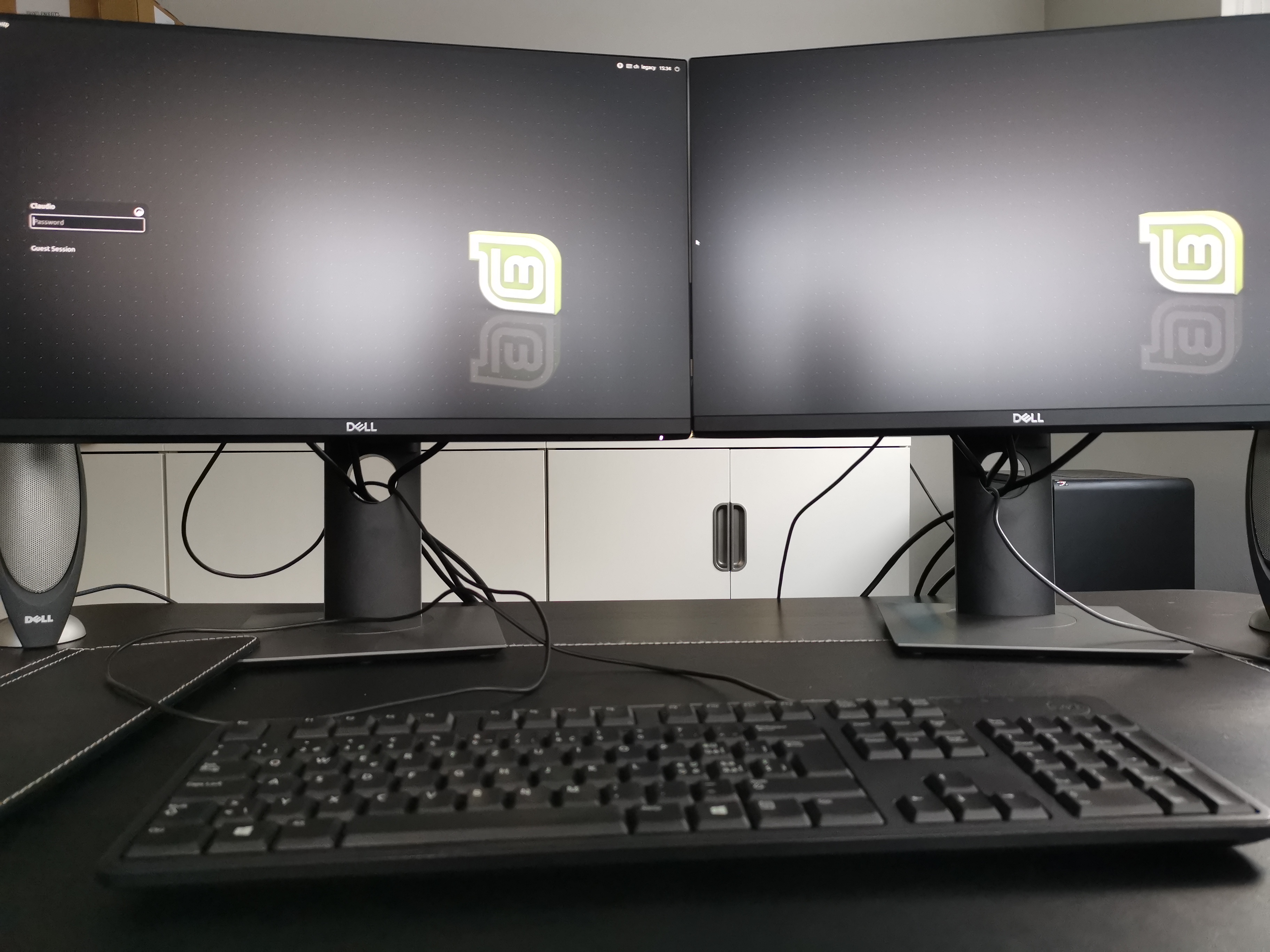 Linux Mint Dual Screen setup using DisplayPort