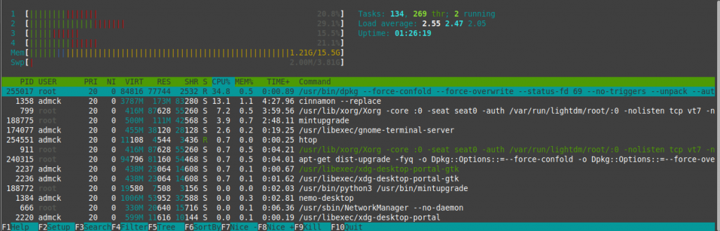 htop showing dpkg working while upgrading Linux Mint