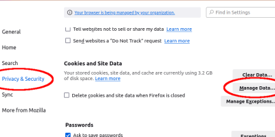 Firefox Settings to manage cached data