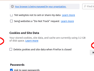 Firefox Settings to manage cached data