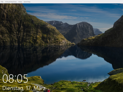 Windows VM in libvirt virt-manager