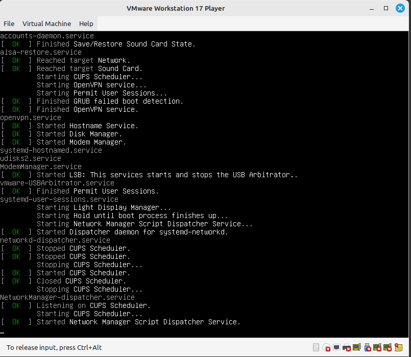 Virtual Machine running in VMware Workstation Player