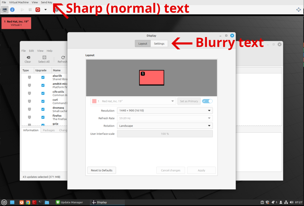 Blurry text inside Virtual Machine Console