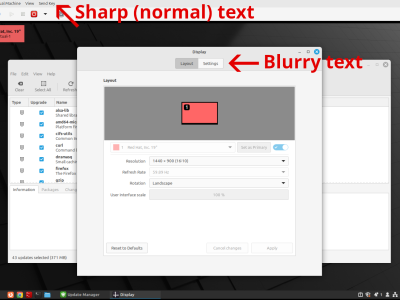 Blurry Text in VM Console