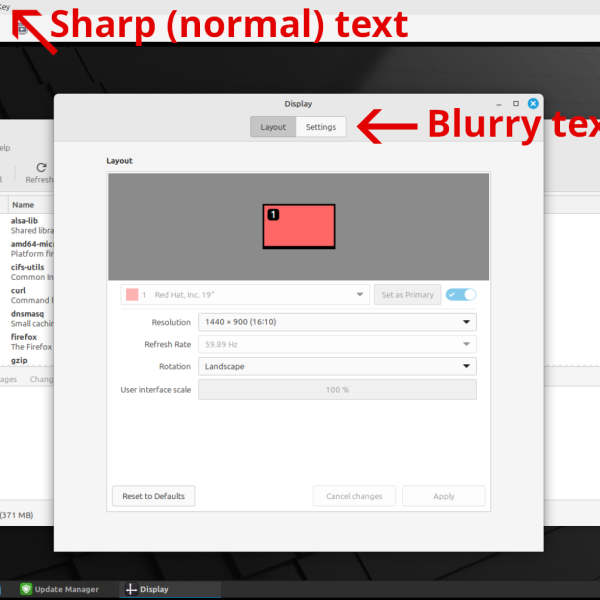 Blurry Text in VM Console
