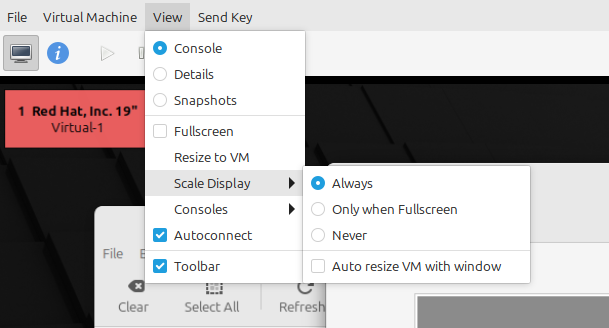 Scale Display setting is set to Always, which causes the blurry display.