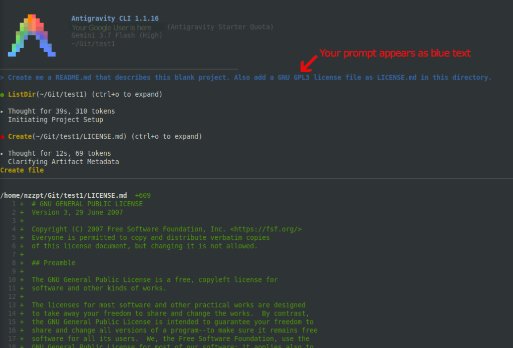 Working with Antigravity AI on the Linux Command Line.